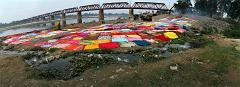 0879a_Agra_sari_bridge